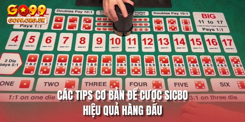 Các tips cơ bản để cược Sicbo hiệu quả hàng đầu