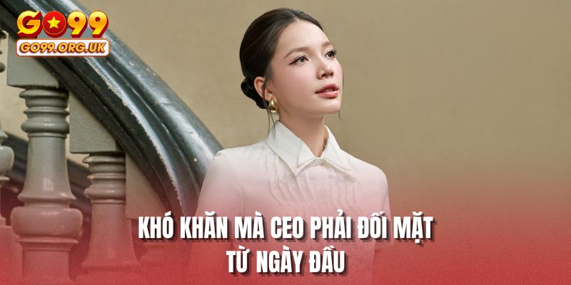Khó khăn mà CEO phải đối mặt từ ngày đầu